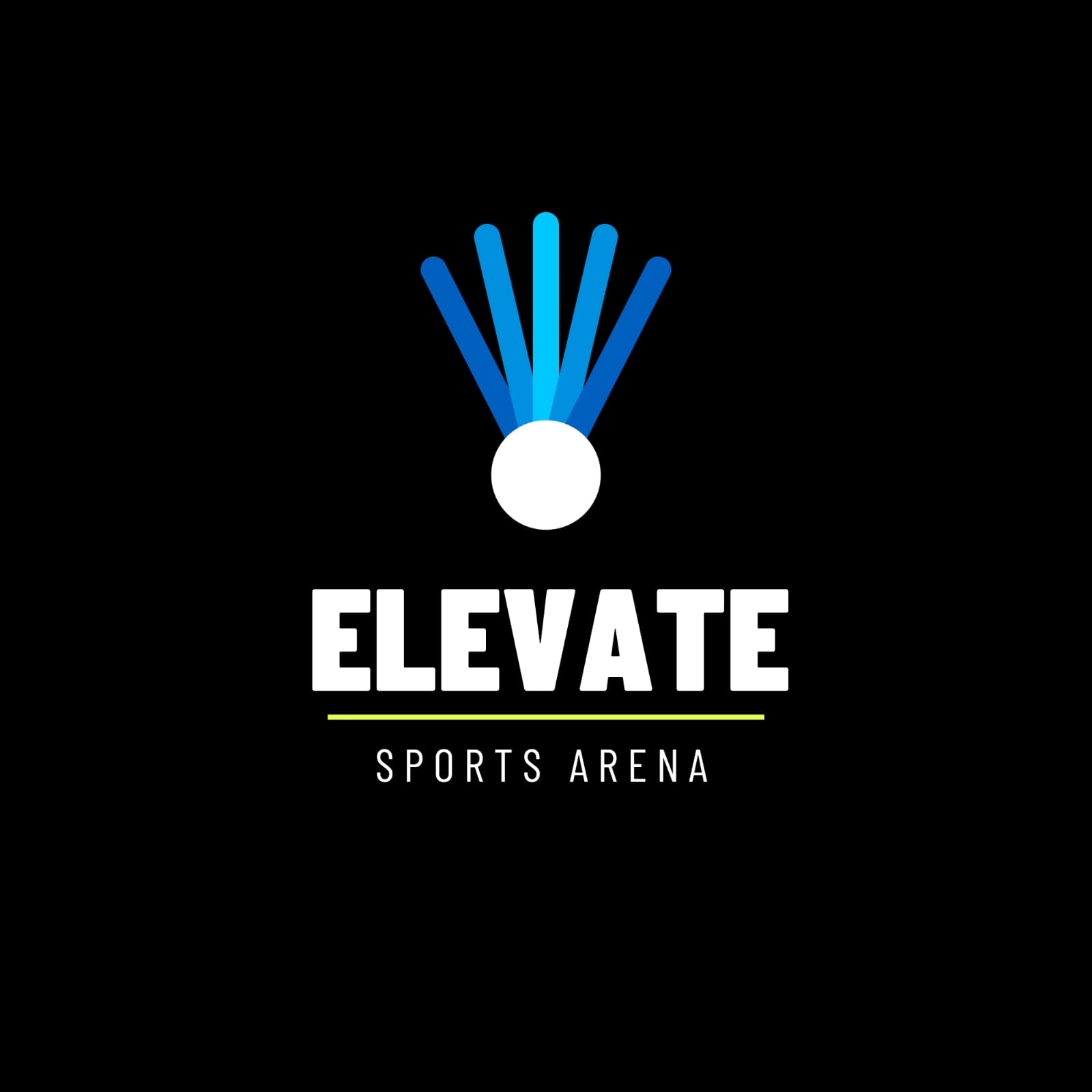 Elevate Sport Arena gallery photo 4