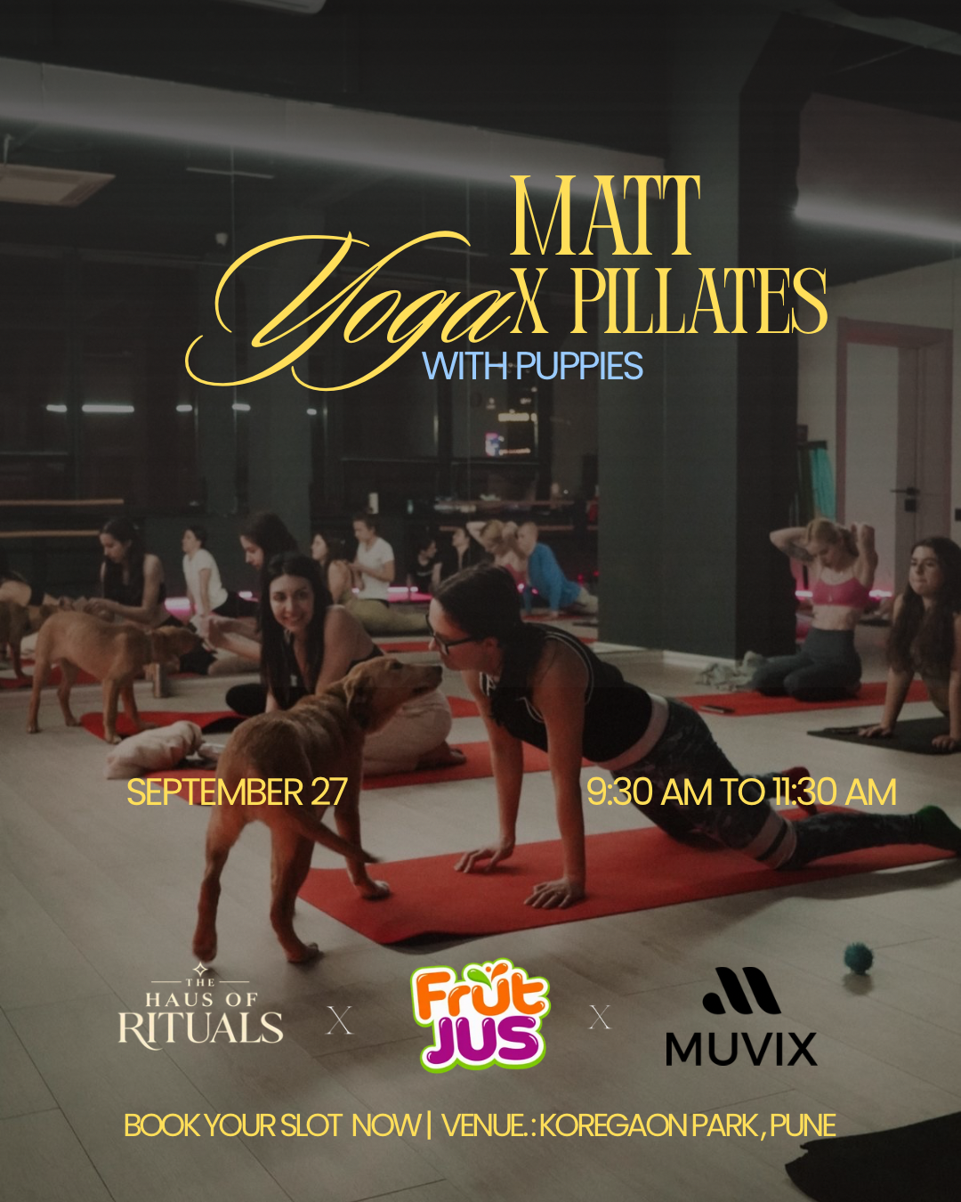 Yoga with Puppies – Matt Yoga X Pilates